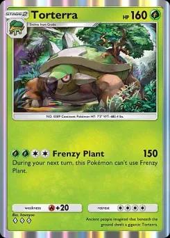 Torterra A2-012