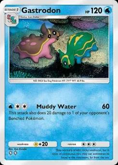 Gastrodon A2-041