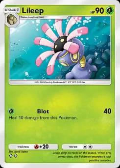 Lileep B4-006