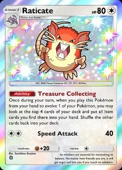 Raticate B4-221