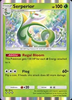Serperior B4a-005