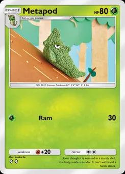 Metapod B4b-005