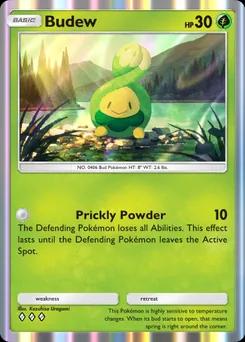 Budew B4b-013