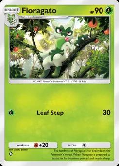 Floragato B4b-022