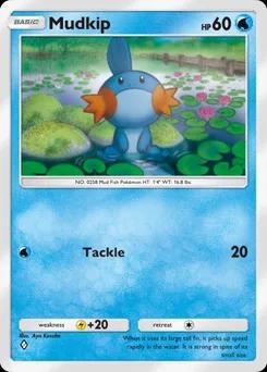 Mudkip B4b-062