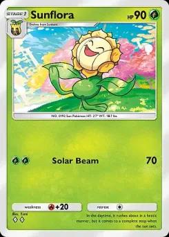 Sunflora