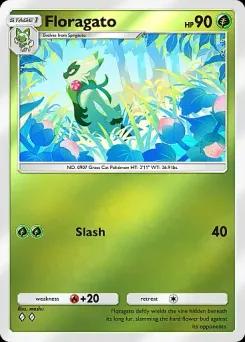 Floragato